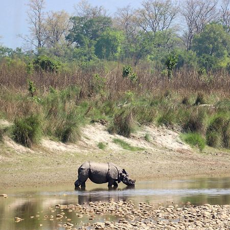 Forest Hideaway Resort Pvt Ltd Bardiya Eksteriør bilde
