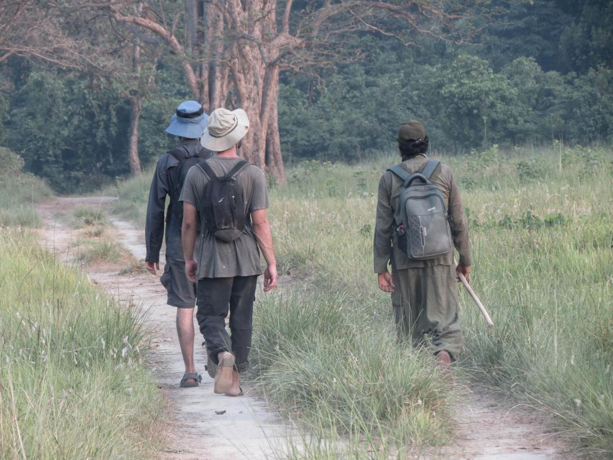 Forest Hideaway Resort Pvt Ltd Bardiya Eksteriør bilde