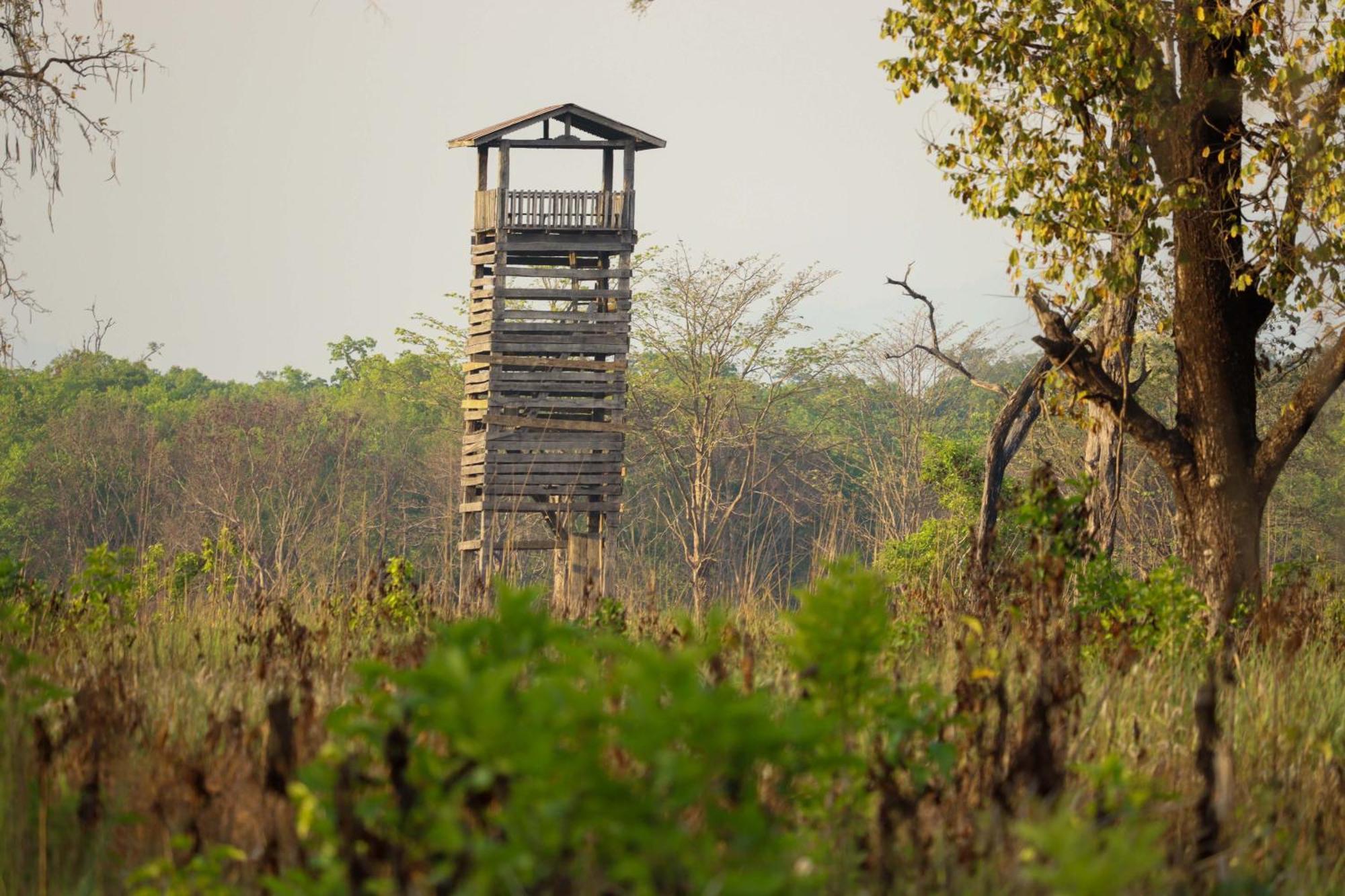 Forest Hideaway Resort Pvt Ltd Bardiya Eksteriør bilde