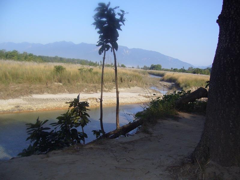Forest Hideaway Resort Pvt Ltd Bardiya Eksteriør bilde