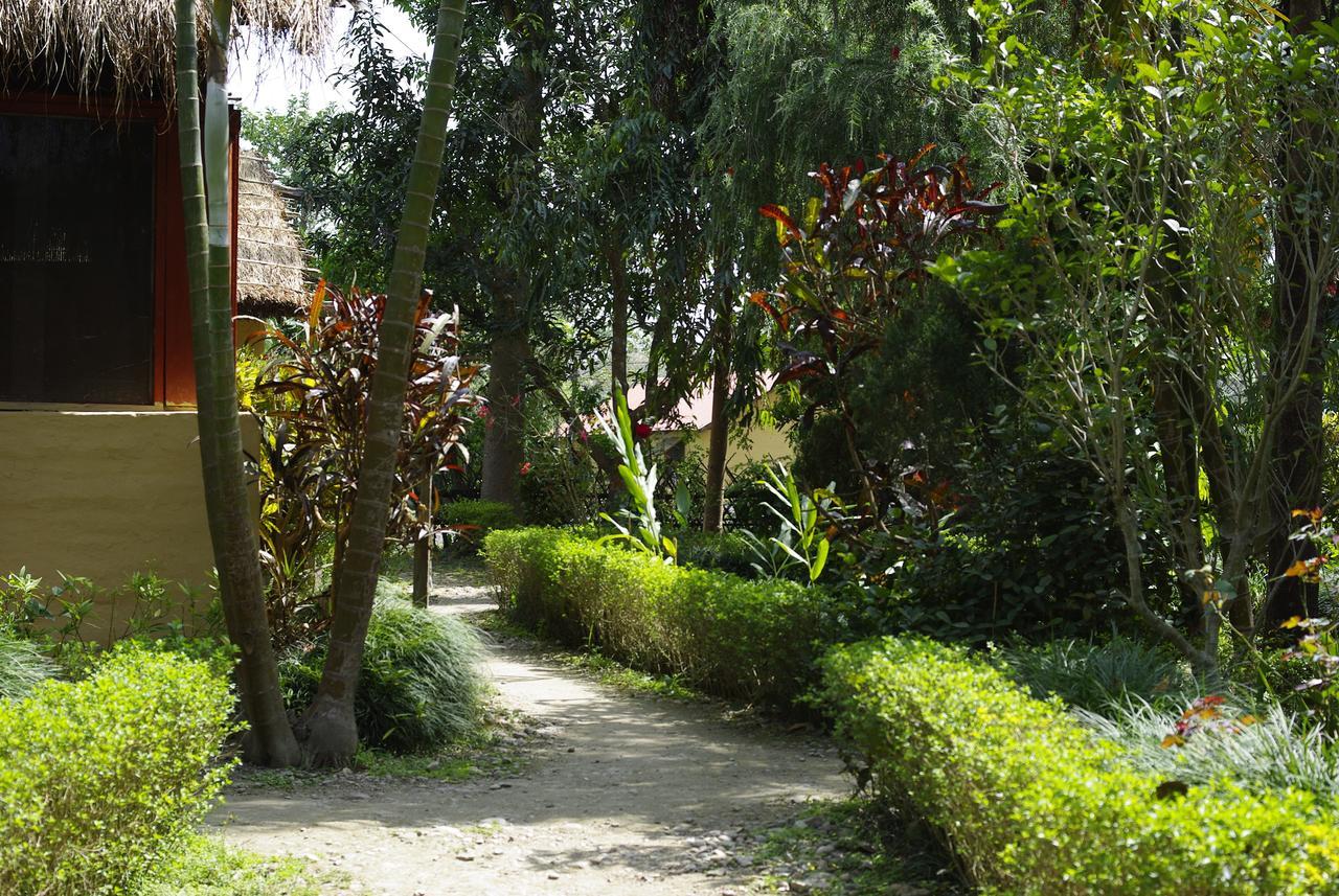 Forest Hideaway Resort Pvt Ltd Bardiya Eksteriør bilde