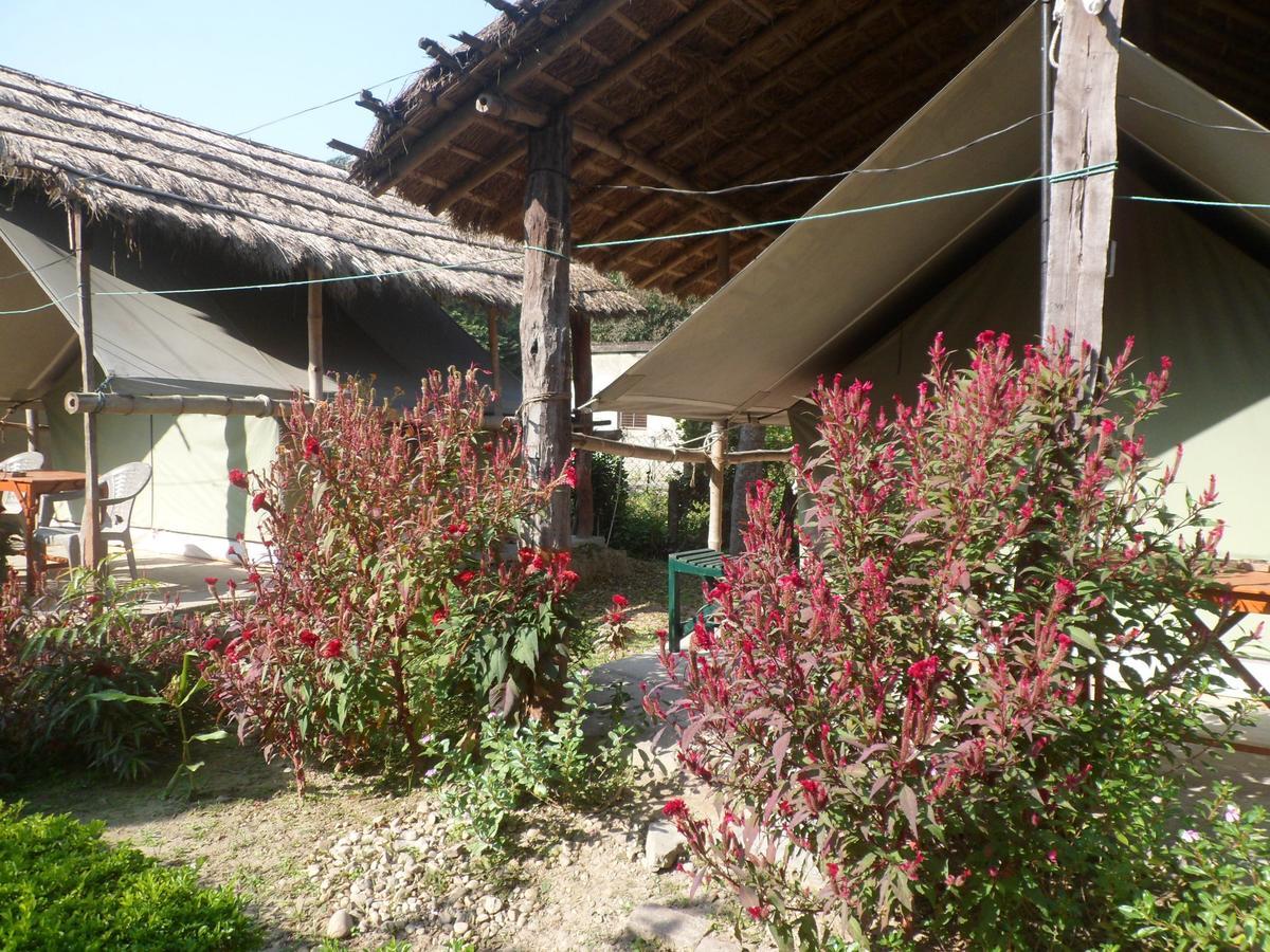 Forest Hideaway Resort Pvt Ltd Bardiya Eksteriør bilde